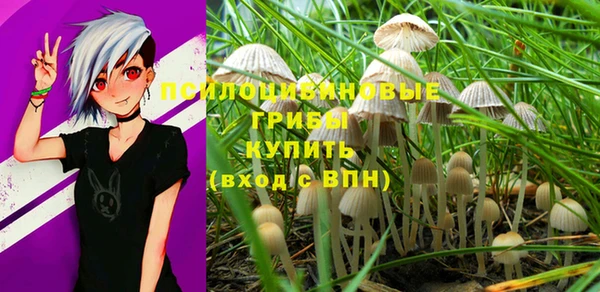 Альфа ПВП Апатиты