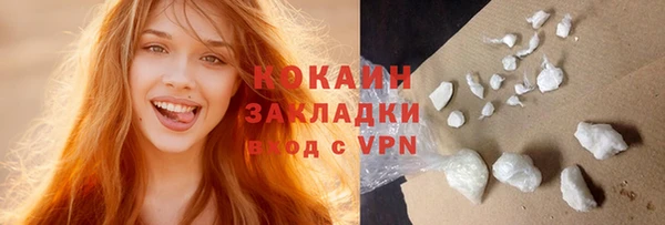 дживик Новозыбков