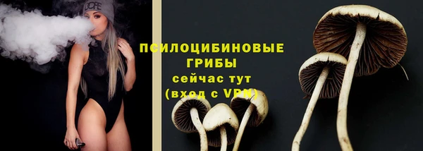 дживик Новозыбков