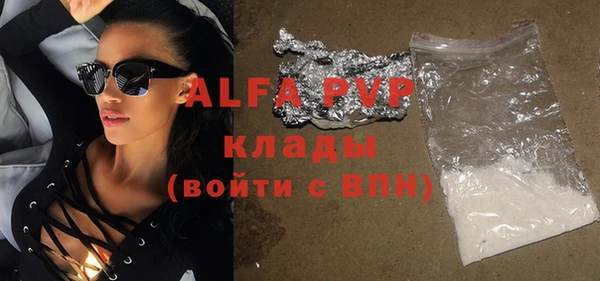 дживик Новозыбков