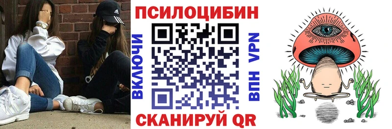 Псилоцибиновые грибы мицелий  где найти наркотики  блэк спрут ТОР  Каспийск 