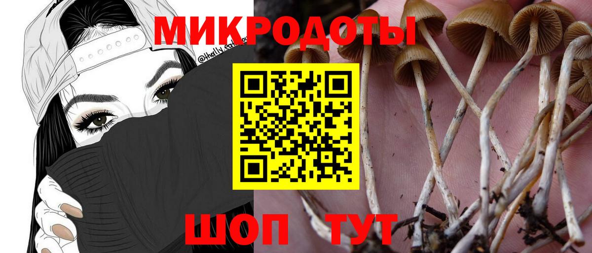 Псилоцибиновые грибы Psilocybe  Вход с VPN  купить наркотик  Каспийск 