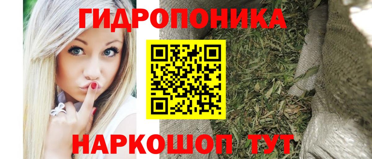 Конопля сатива Каспийск